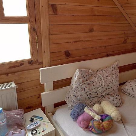 Villa Wooden House à Mestia Extérieur photo